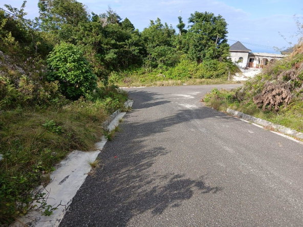 Seventh image of 36- Friendship Grove in Hopewell, Hanover, Jamaica - property is For Sale