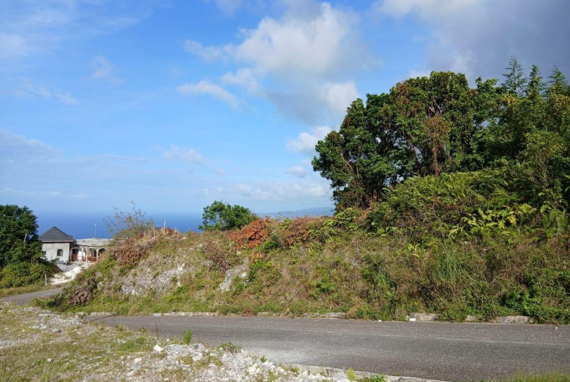 Eighth image of 36- Friendship Grove in Hopewell, Hanover, Jamaica - property is For Sale