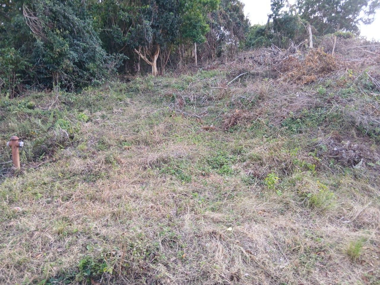 Ninth image of 36- Friendship Grove in Hopewell, Hanover, Jamaica - property is For Sale