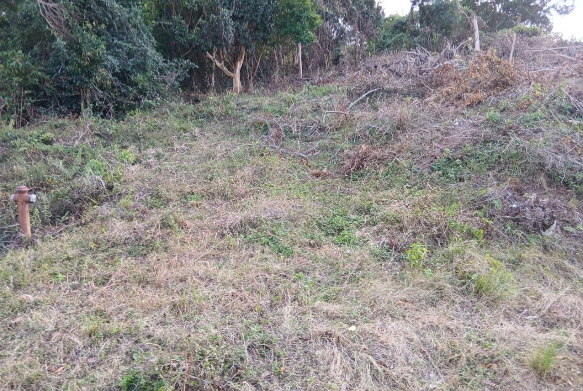 Tenth image of 36- Friendship Grove in Hopewell, Hanover, Jamaica - property is For Sale