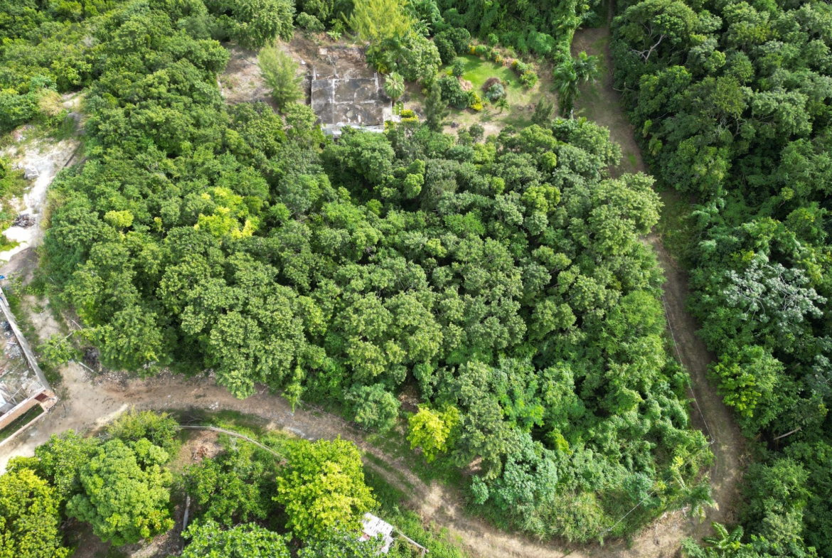 Fourth image of 303 Torado Heights, Prt of ir in Ironshore, St. James, Jamaica - property is For Sale