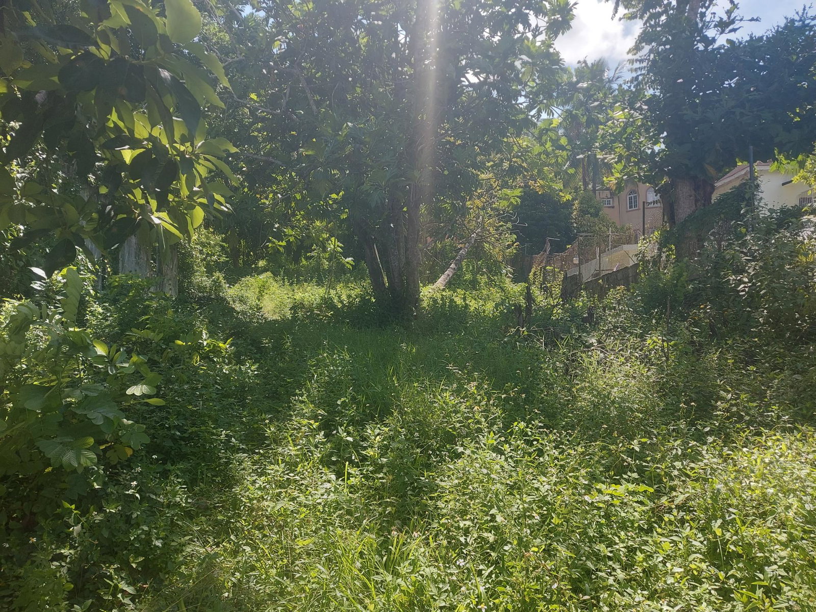 Third image of 7 Ramble Hill Road in Bogue, St. James, Jamaica - property is For Sale