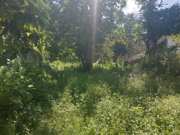 Third image of 7 Ramble Hill Road in Bogue, St. James, Jamaica - property is For Sale