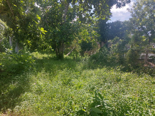 Fifth image of 7 Ramble Hill Road in Bogue, St. James, Jamaica - property is For Sale