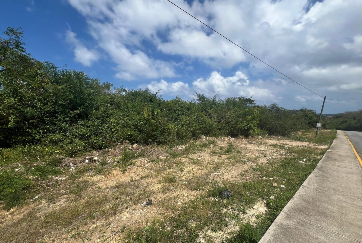 Eleventh image of 1481- Dr. Horace Chang Blvd in Ironshore, St. James, Jamaica - property is For Sale
