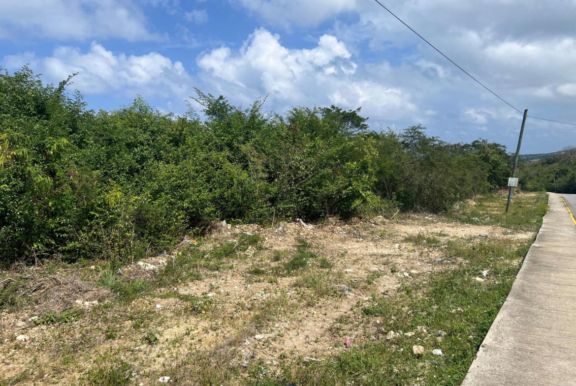 Ninth image of 1481- Dr. Horace Chang Blvd in Ironshore, St. James, Jamaica - property is For Sale