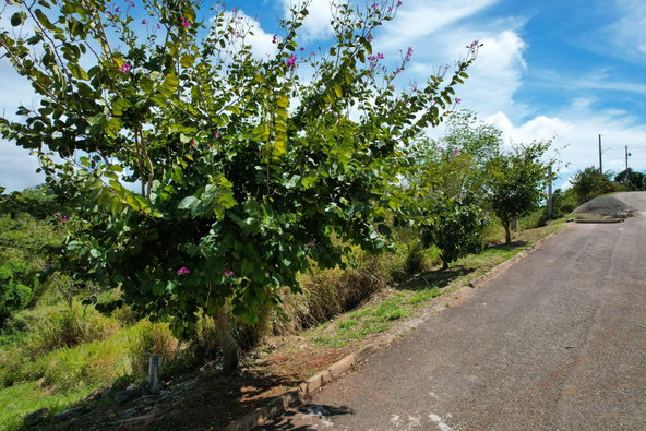 Seventh image of 364 Moorlands Manor Phase 3a in Moorlands Phase 3, Manchester, Jamaica - property is For Sale