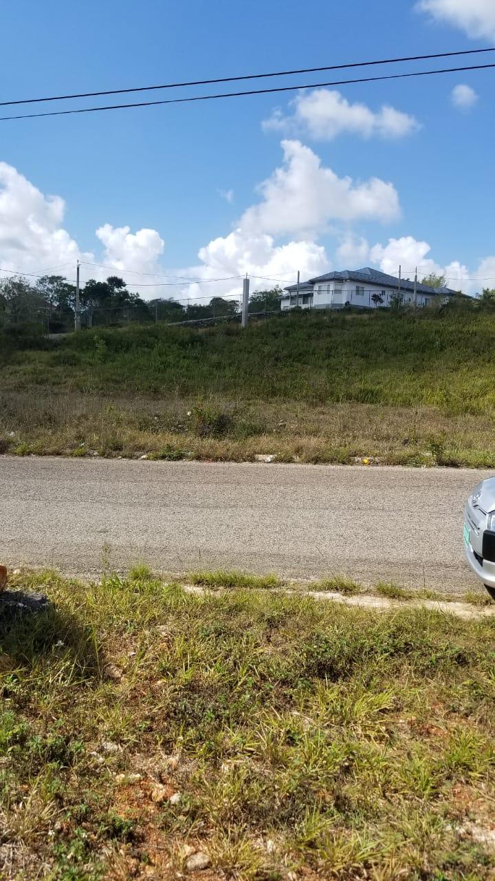 Second image of Lot 1 New Wales in Newport, Manchester, Jamaica - property is For Sale