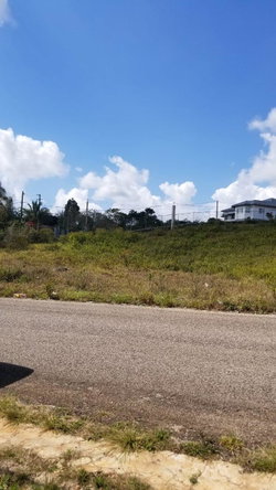 Third image of Lot 1 New Wales in Newport, Manchester, Jamaica - property is For Sale