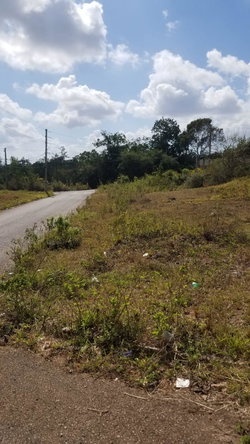 Fourth image of Lot 1 New Wales in Newport, Manchester, Jamaica - property is For Sale
