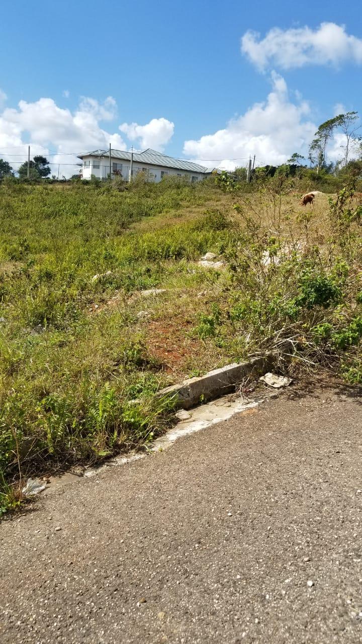 Sixth image of Lot 1 New Wales in Newport, Manchester, Jamaica - property is For Sale