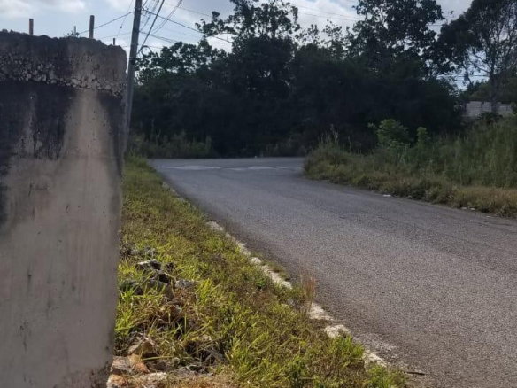 First image of Lot 1 New Wales in Newport, Manchester, Jamaica - property is For Sale