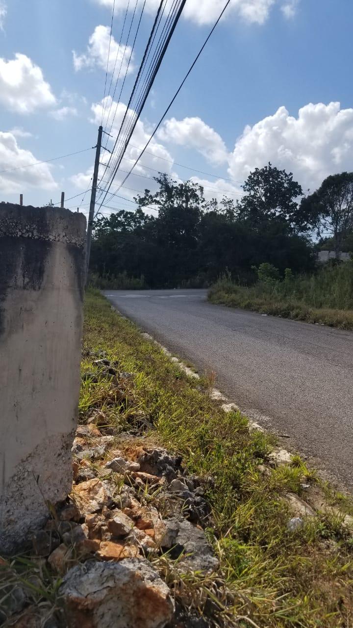 Seventh image of Lot 1 New Wales in Newport, Manchester, Jamaica - property is For Sale