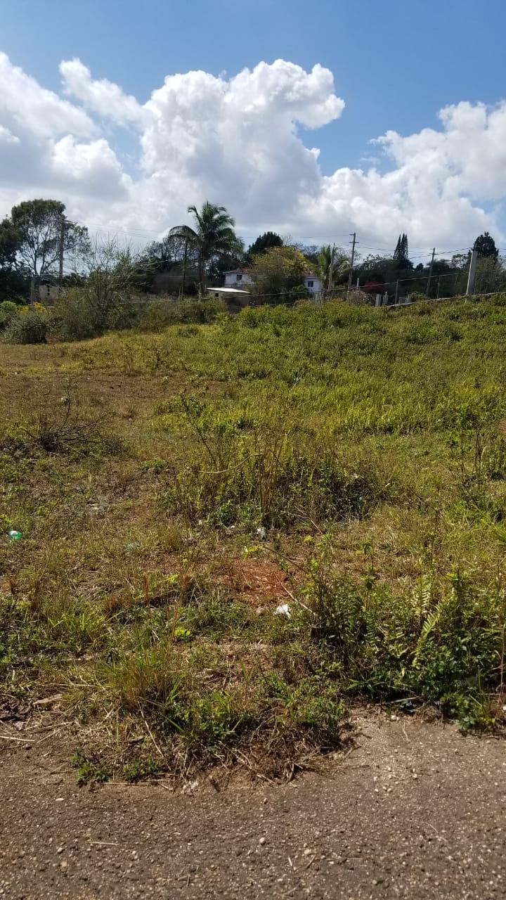 Ninth image of Lot 1 New Wales in Newport, Manchester, Jamaica - property is For Sale