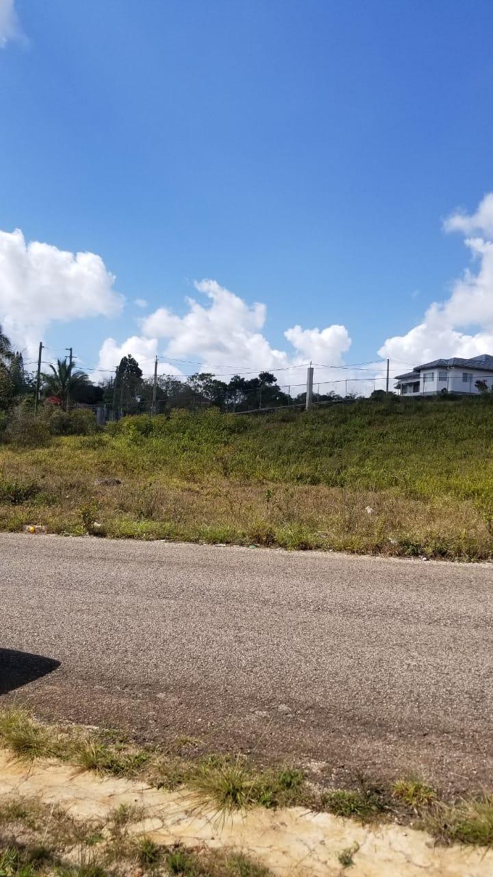 Tenth image of Lot 1 New Wales in Newport, Manchester, Jamaica - property is For Sale
