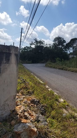First image of Lot 1 New Wales in Newport, Manchester, Jamaica - property is For Sale