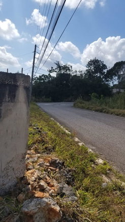 First image of Lot 1 New Wales in Newport, Manchester, Jamaica - property is For Sale