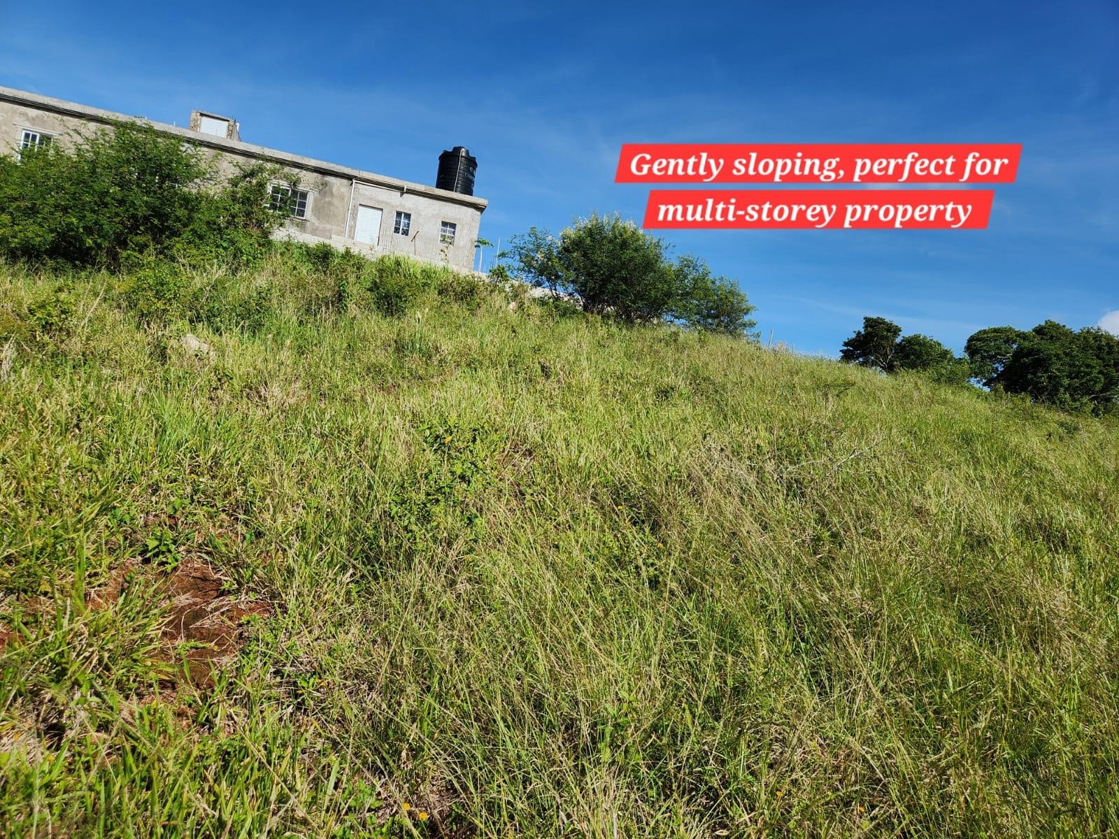 Prime-Residential-Lot-for-Sale-in-Newark-Grove-Manchester-0.4-Acre Second image of 140 Newark Grove in Spur Tree, Manchester, Jamaica - property is For Sale