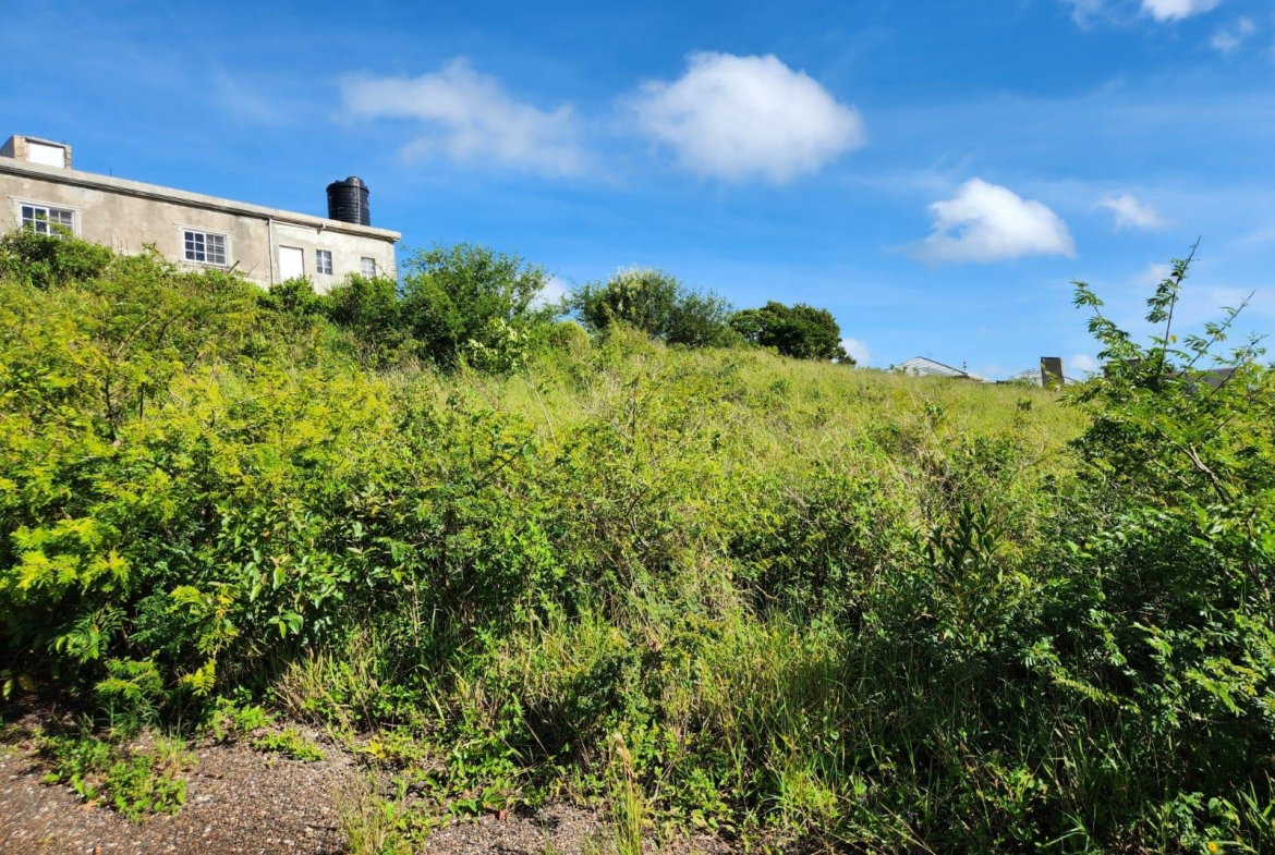 Fourth image of 140 Newark Grove in Spur Tree, Manchester, Jamaica - property is For Sale