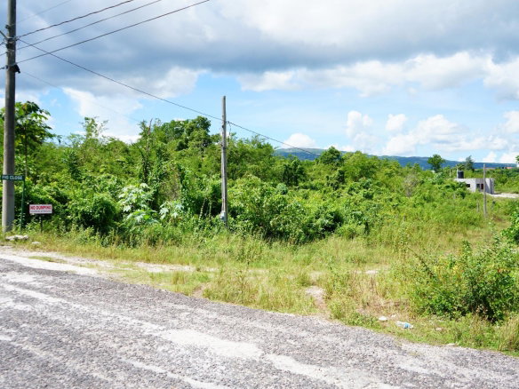 First image of 193 Olive Park in Santa Cruz, St. Elizabeth, Jamaica - property is For Sale