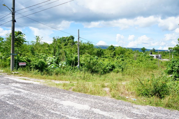 First image of 193 Olive Park in Santa Cruz, St. Elizabeth, Jamaica - property is For Sale