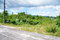 First image of 193 Olive Park in Santa Cruz, St. Elizabeth, Jamaica - property is For Sale