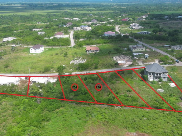 First image of Lot 255 Palmbrook Estate in Lacovia, St. Elizabeth, Jamaica - property is For Sale