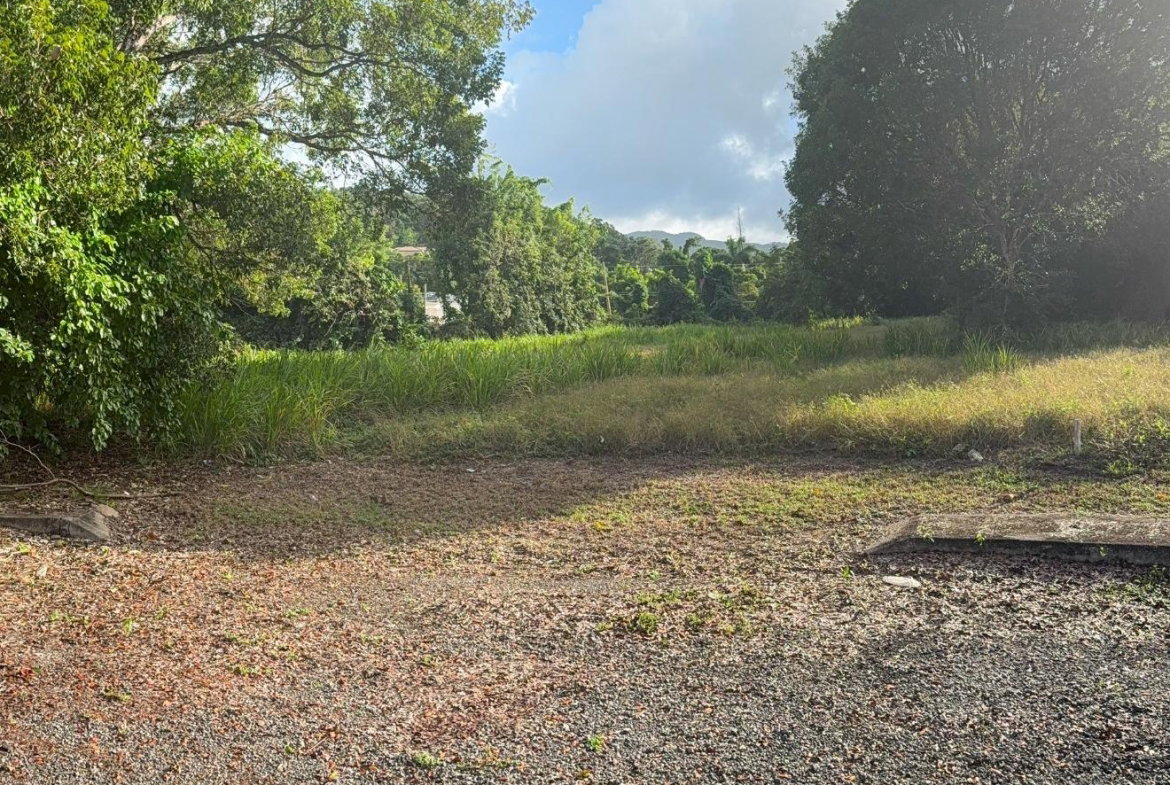 Second image of 565 Mahogany Avenue in Plantation Village, St. Ann, Jamaica - property is For Sale