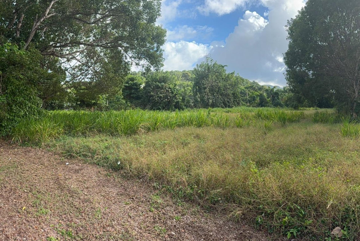 Third image of 565 Mahogany Avenue in Plantation Village, St. Ann, Jamaica - property is For Sale