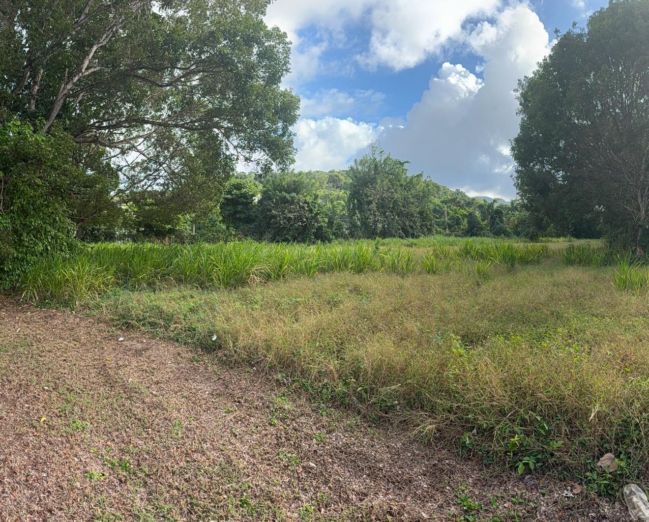 Third image of 565 Mahogany Avenue in Plantation Village, St. Ann, Jamaica - property is For Sale