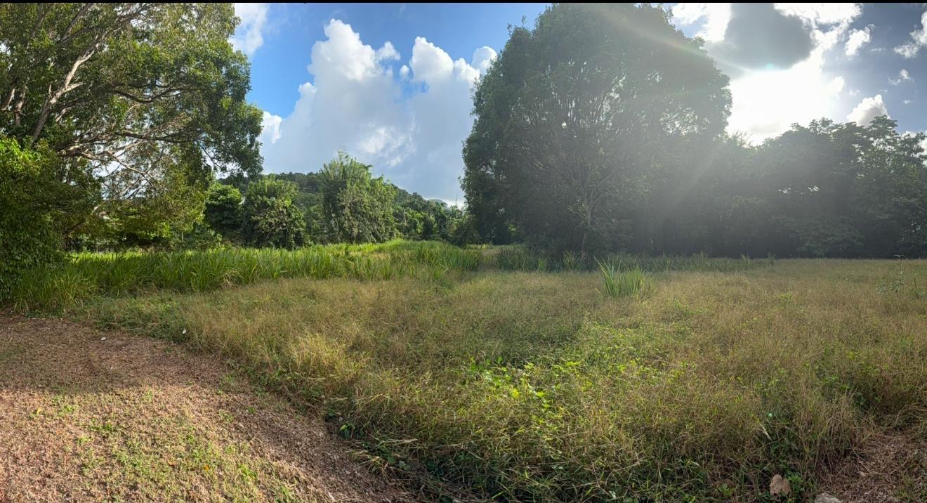 Fifth image of 565 Mahogany Avenue in Plantation Village, St. Ann, Jamaica - property is For Sale