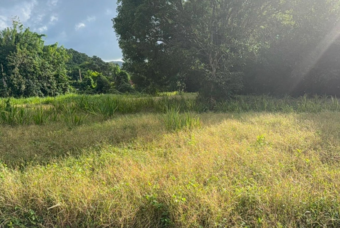 Sixth image of 565 Mahogany Avenue in Plantation Village, St. Ann, Jamaica - property is For Sale