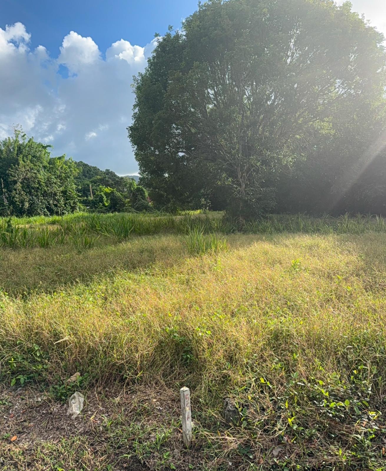 Sixth image of 565 Mahogany Avenue in Plantation Village, St. Ann, Jamaica - property is For Sale