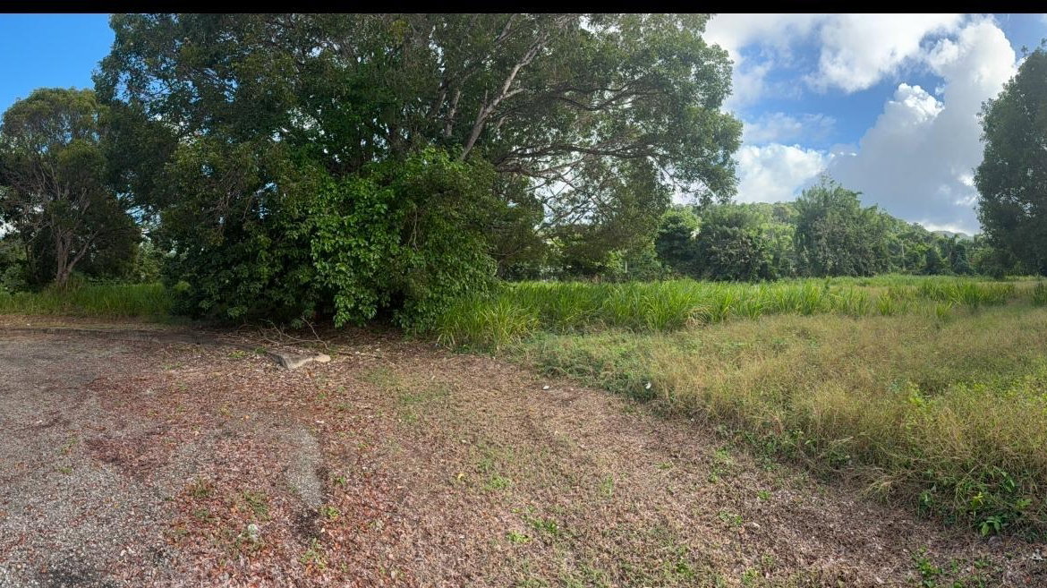 Seventh image of 565 Mahogany Avenue in Plantation Village, St. Ann, Jamaica - property is For Sale