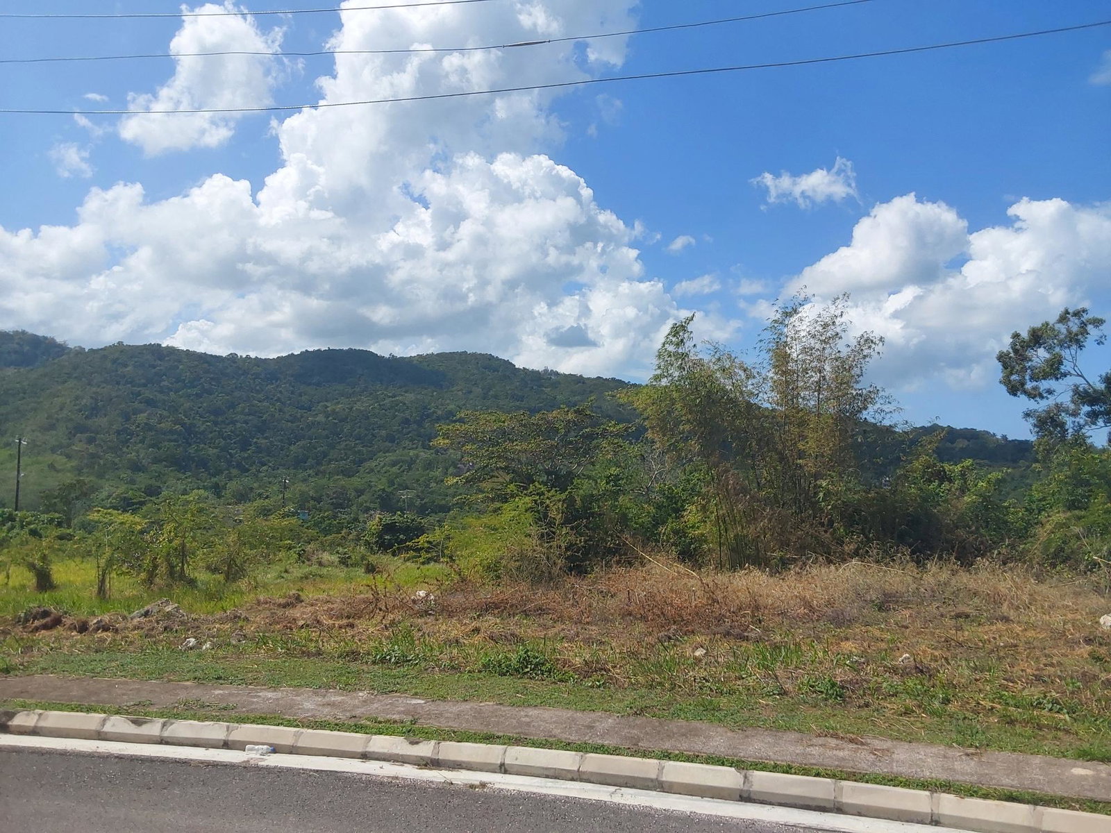 Eleventh image of c 52 Reading Heights in Reading, St. James, Jamaica - property is For Sale