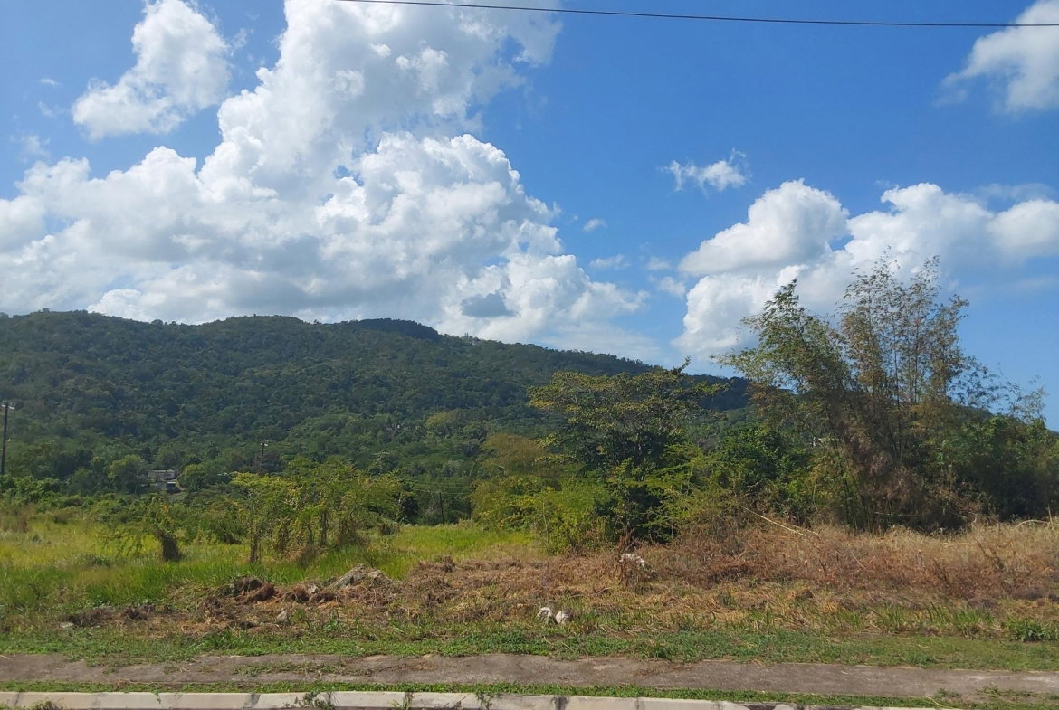 Ninth image of c 52 Reading Heights in Reading, St. James, Jamaica - property is For Sale