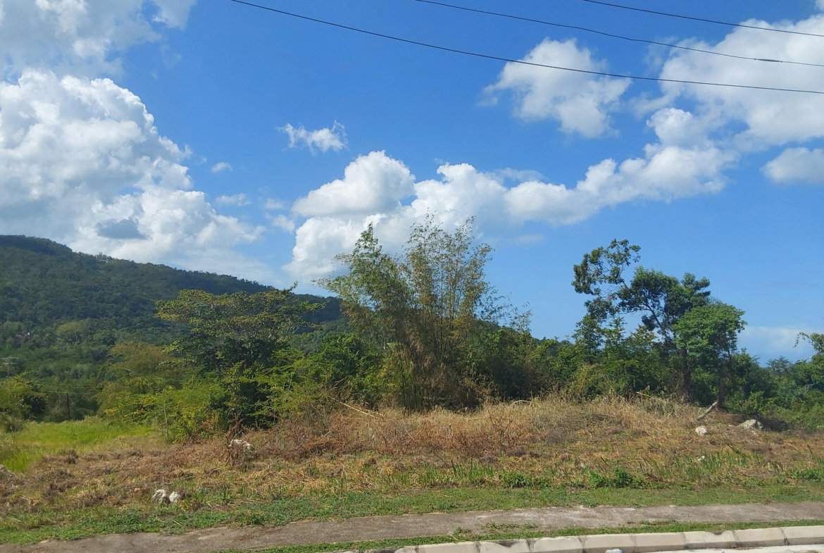 Tenth image of c 52 Reading Heights in Reading, St. James, Jamaica - property is For Sale