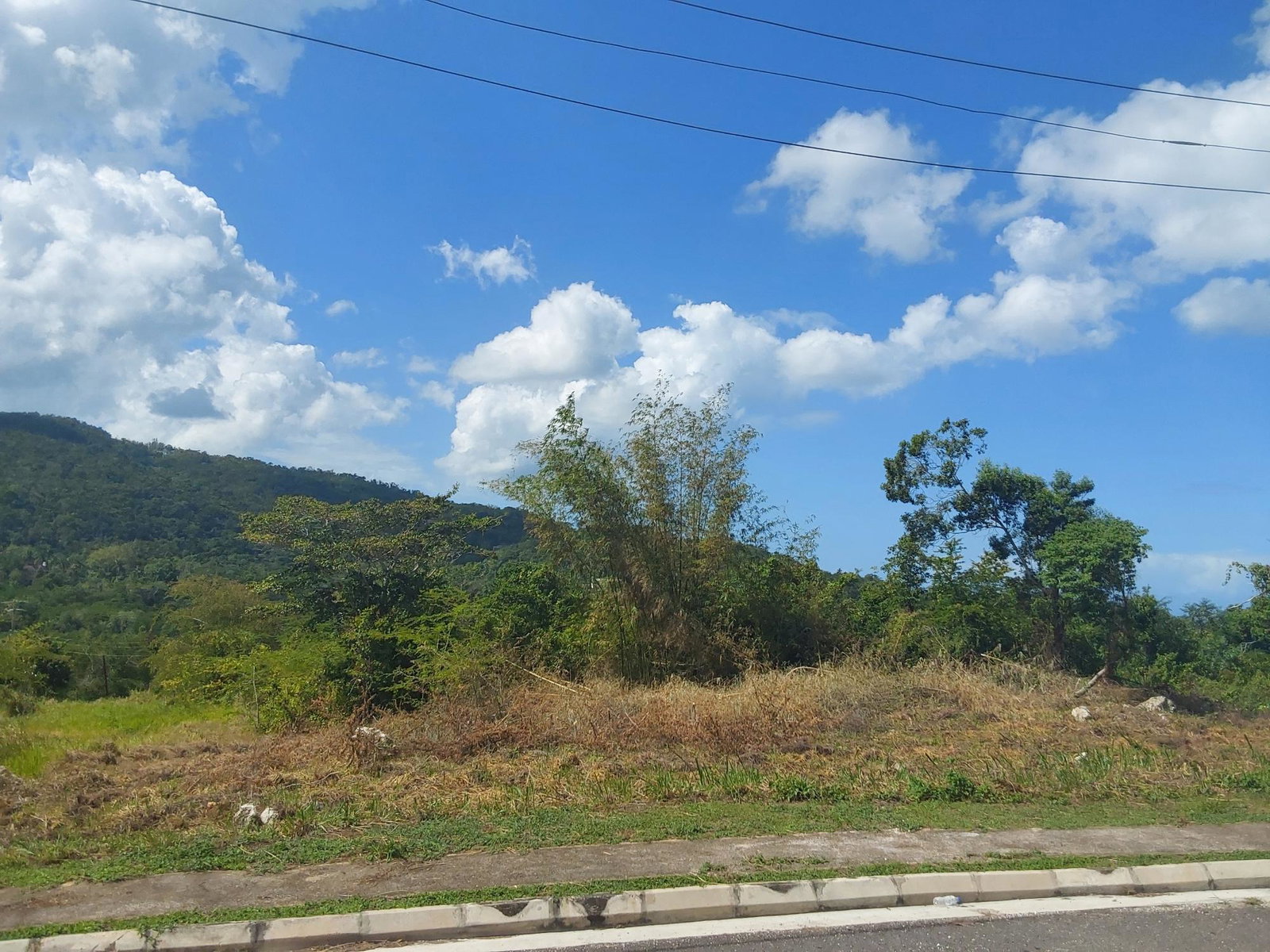 Tenth image of c 52 Reading Heights in Reading, St. James, Jamaica - property is For Sale