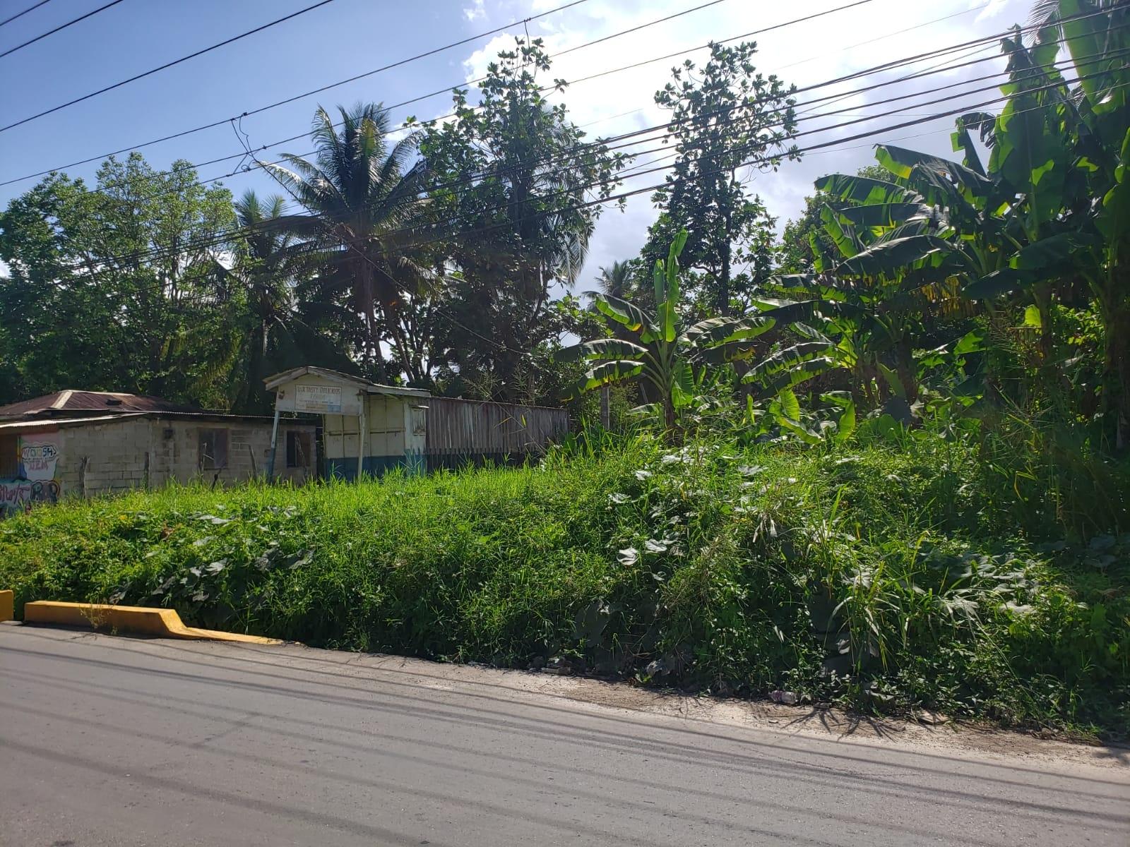 Fourth image of Land Part of Santa Cruz in Santa Cruz, St. Elizabeth, Jamaica - property is For Sale
