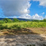First image of Lititz Part of Essex Vall in Lititz Pen, St. Elizabeth, Jamaica - property is For Sale