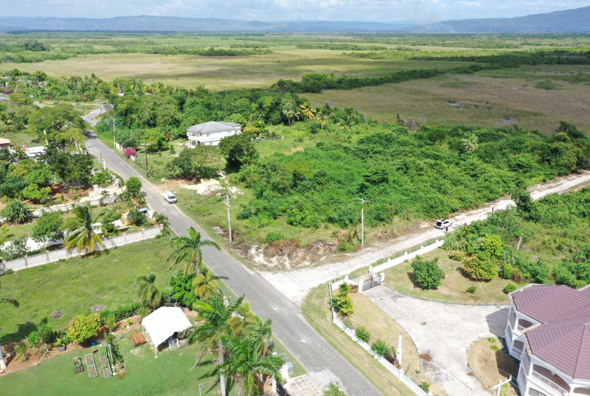 Third image of 81 Land Part of Fullerswood, in Black River, St. Elizabeth, Jamaica - property is For Sale