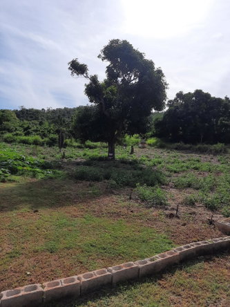 Fifth image of Ridge, St. Elizabeth in Junction, St. Elizabeth, Jamaica - property is For Sale