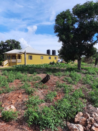 Seventh image of Ridge, St. Elizabeth in Junction, St. Elizabeth, Jamaica - property is For Sale