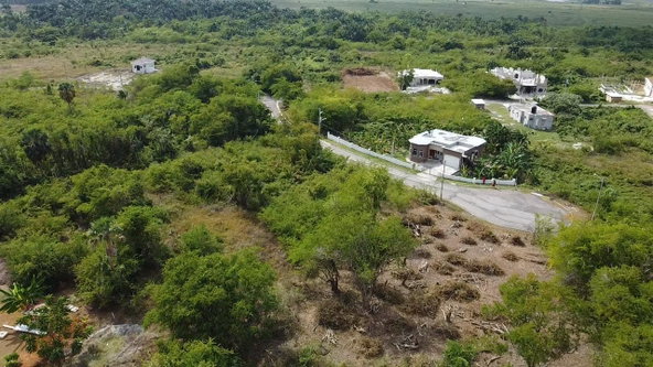 Fifth image of Lot-318 Palmbrook Estate in Lacovia, St. Elizabeth, Jamaica - property is For Sale