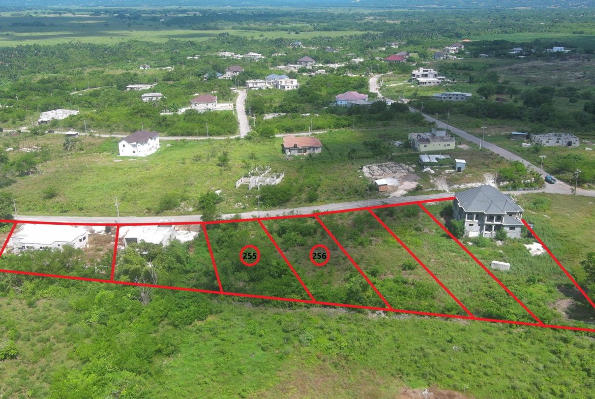 Second image of Lot 256 Palmbrook Estate in Lacovia, St. Elizabeth, Jamaica - property is For Sale