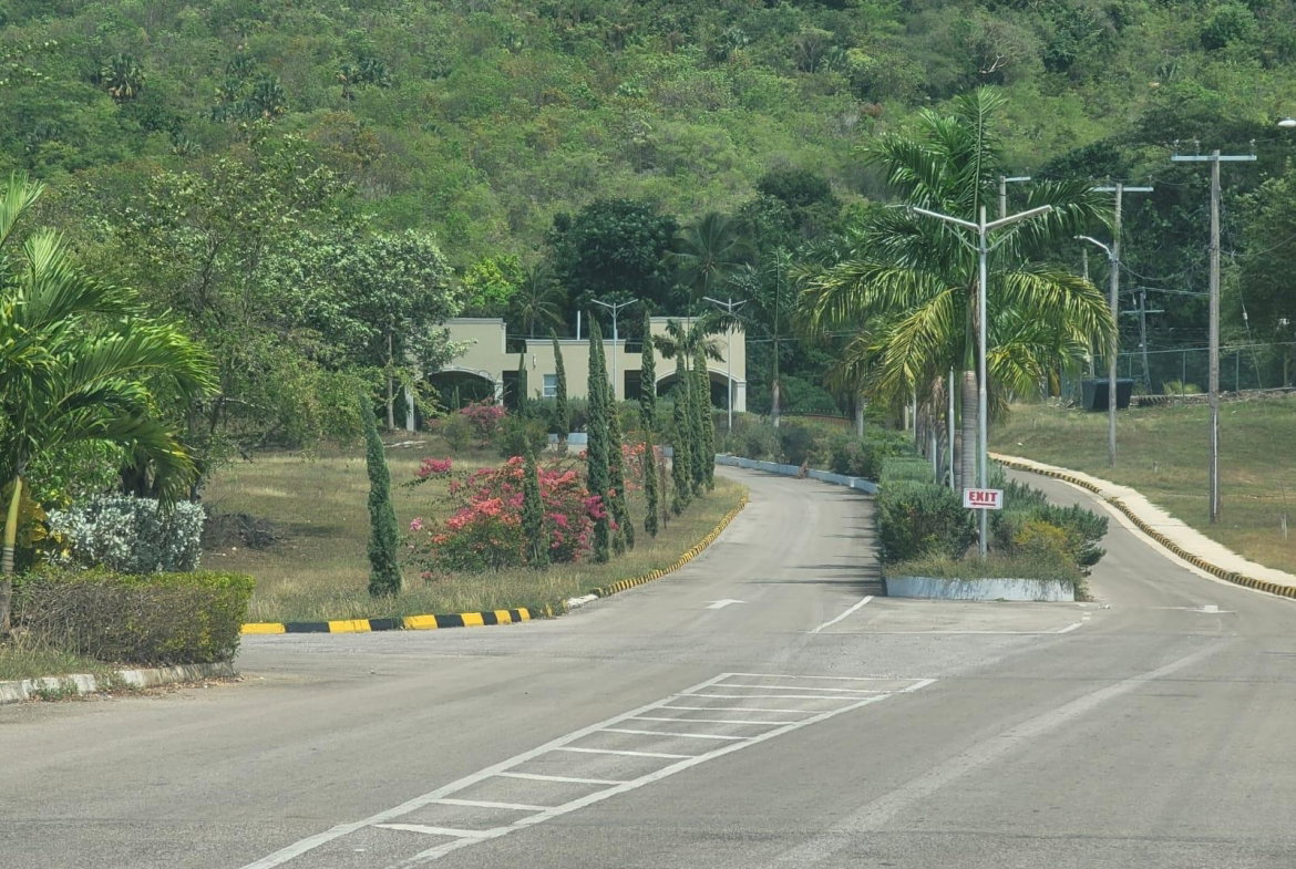 Seventeenth image of Lot 256 Palmbrook Estate in Lacovia, St. Elizabeth, Jamaica - property is For Sale