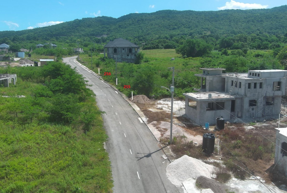 Third image of Lot 256 Palmbrook Estate in Lacovia, St. Elizabeth, Jamaica - property is For Sale