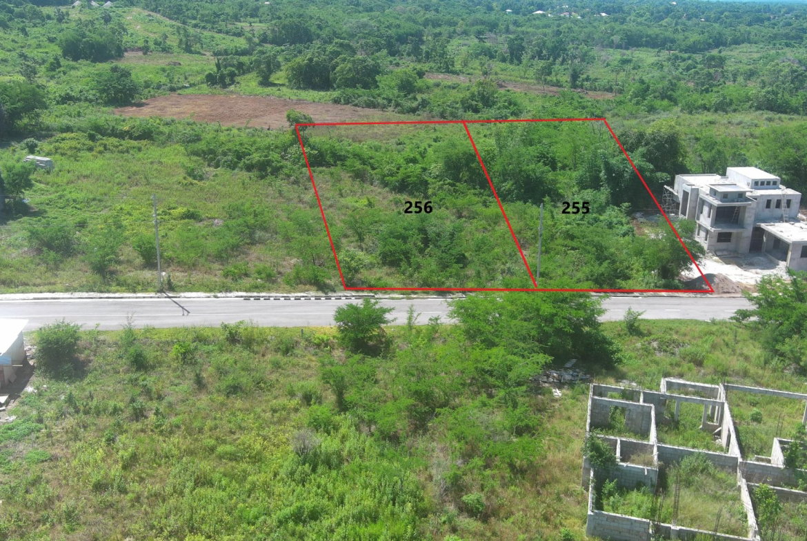 Fifth image of Lot 256 Palmbrook Estate in Lacovia, St. Elizabeth, Jamaica - property is For Sale