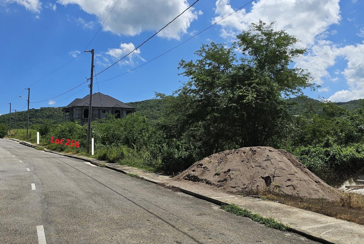 Ninth image of Lot 256 Palmbrook Estate in Lacovia, St. Elizabeth, Jamaica - property is For Sale