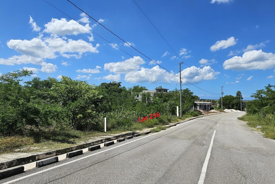 Tenth image of Lot 256 Palmbrook Estate in Lacovia, St. Elizabeth, Jamaica - property is For Sale